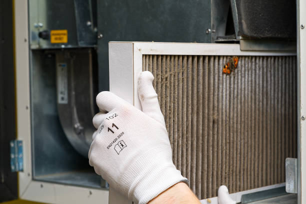 Best Affordable Duct Cleaning Services  in Webb City, MO