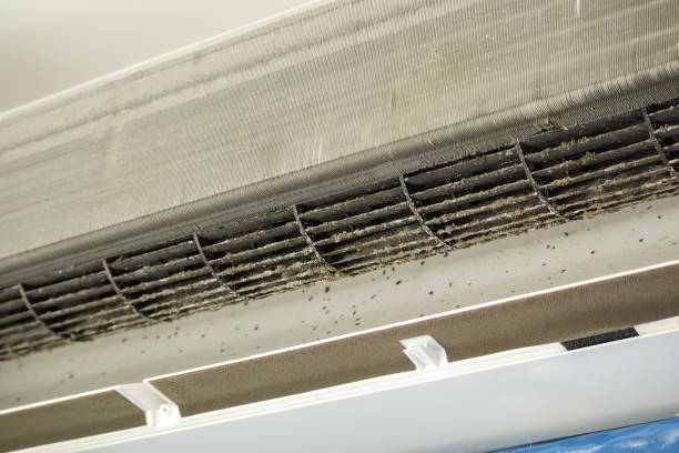 Best Air Quality Test  in Webb City, MO